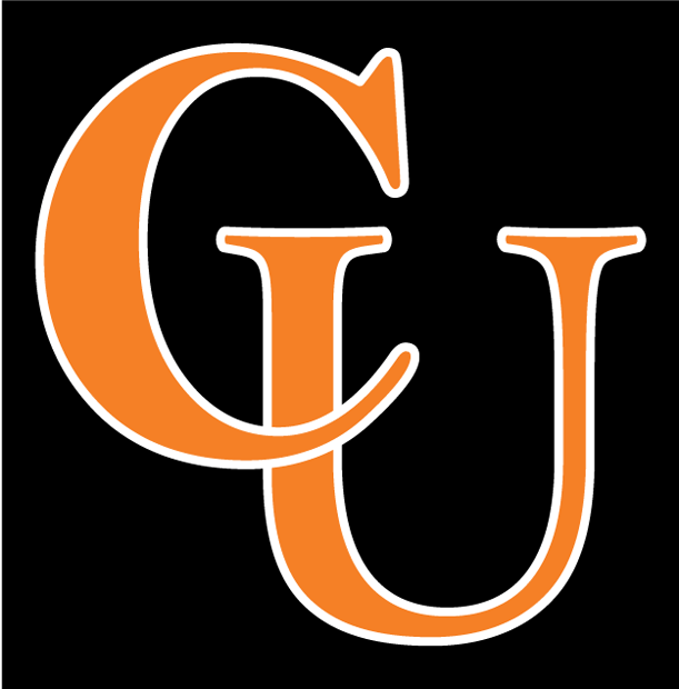 Campbell Fighting Camels 2008-Pres Wordmark Logo v3 diy iron on heat transfer...